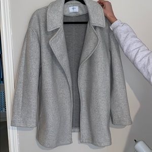 ZARA Dress Coat